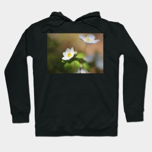 Springtime Anemone Hoodie